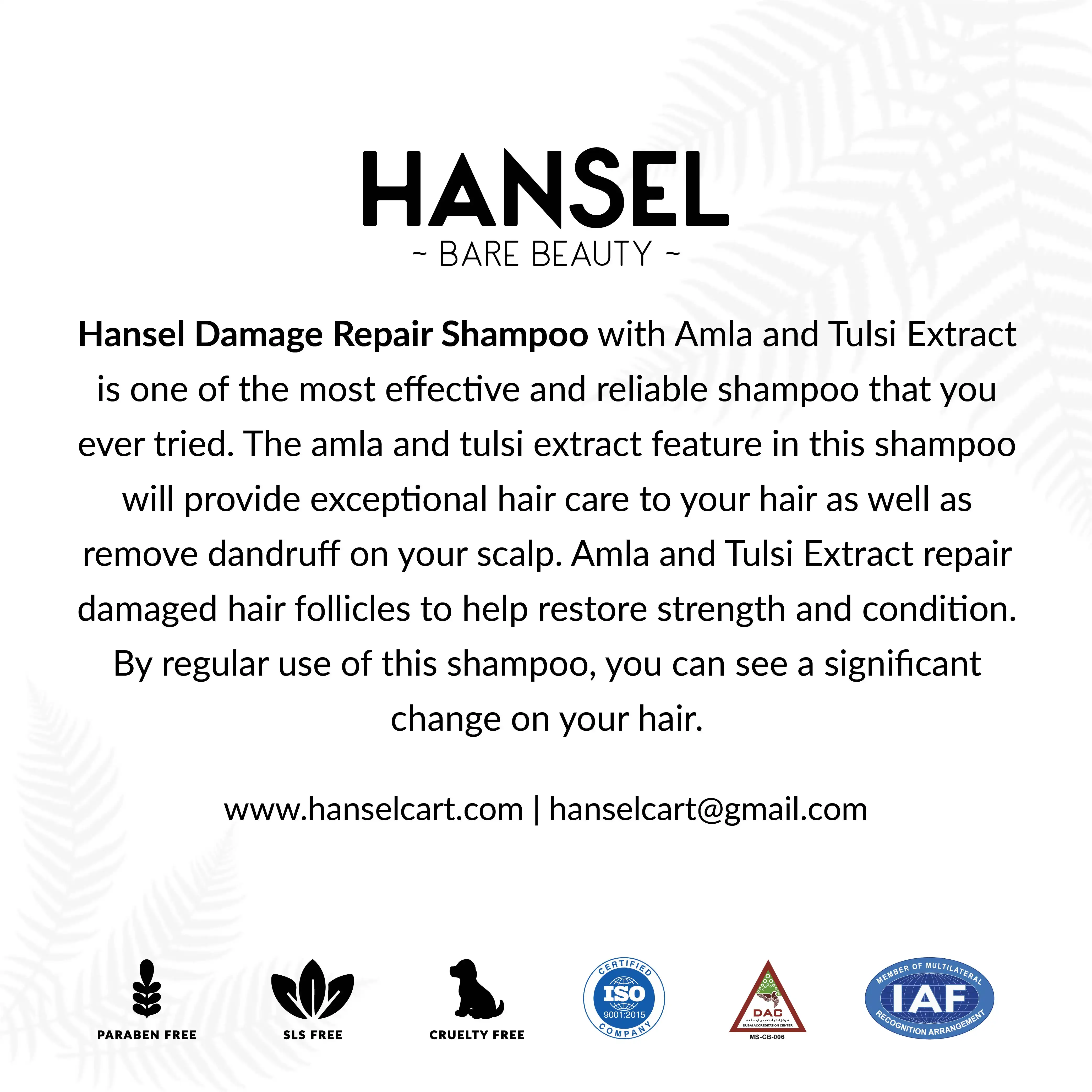 HANSEL DAMAGE REPAIR SHAMPOO | 250ml